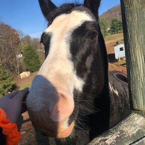 Meet your Posher, Emma